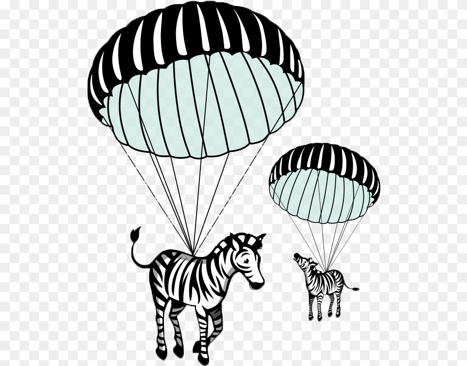 Paratrooper Download Illustration, Animal, Mammal, Wildlife, Zebra Free Transparent Png