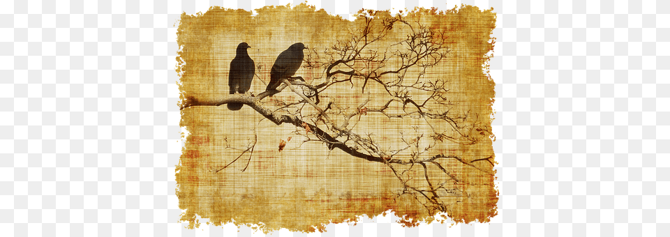 Parchment Animal, Bird, Vulture, Cormorant Png Image