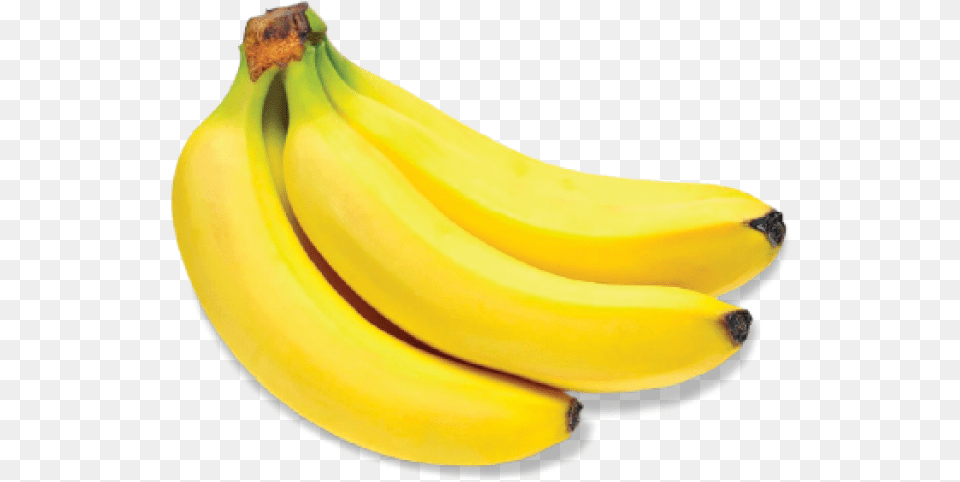Parent Directory Fresh Bananas 24quotx18quot Large Hanging Counter Wall Food, Banana, Fruit, Plant, Produce Png Image