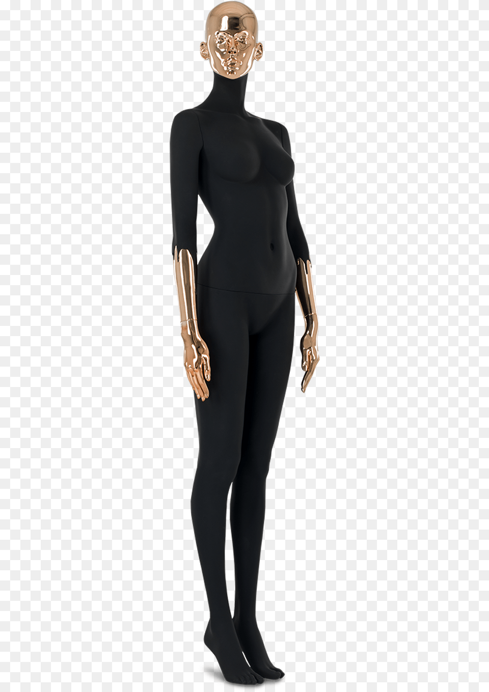 Paris Collection By Hans Boodt Wetsuit, Clothing, Sleeve, Long Sleeve, Adult Png Image