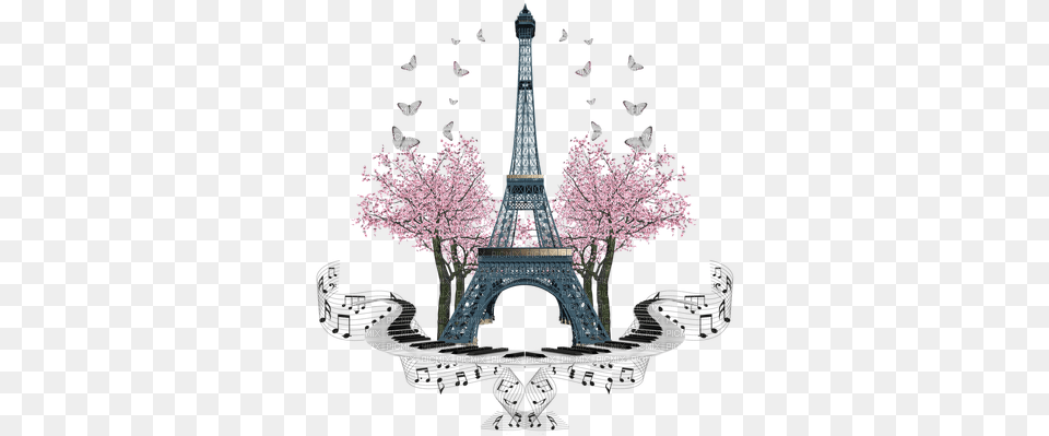 Paris Photo Paris Pink And Black, Flower, Plant, Cherry Blossom Png Image