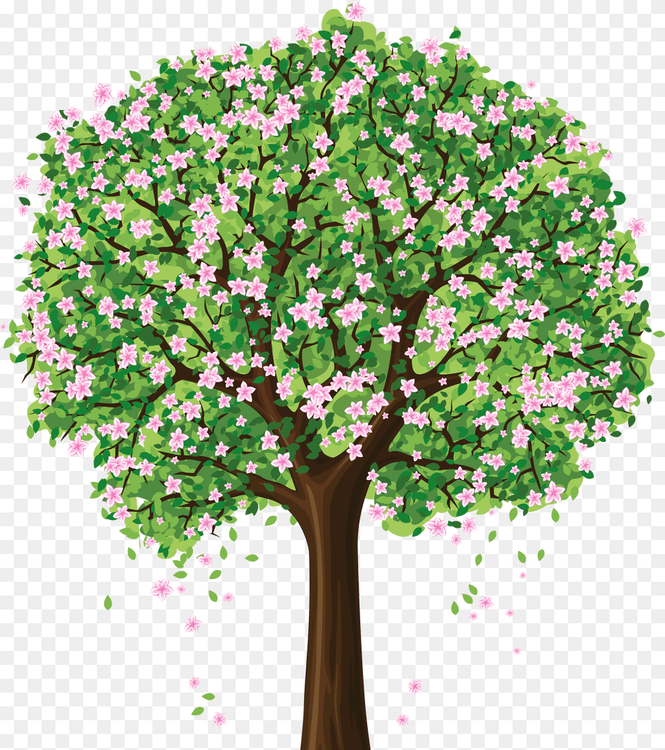 Park Clipart Spring Transparent For Spring Tree Clipart, Oak, Plant, Sycamore, Flower Free Png