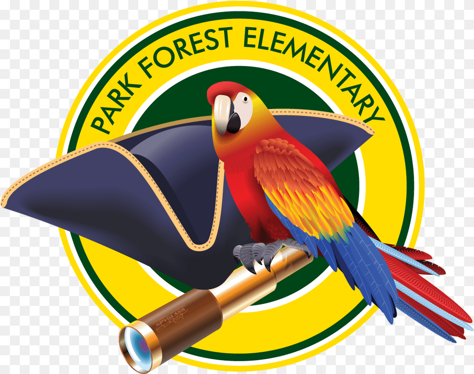 Park Forest Elementary School Baton Rouge, Animal, Beak, Bird, Parrot Free Transparent Png