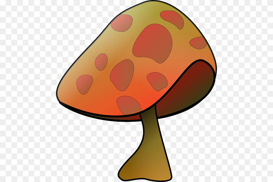 Park Outline Plants Mushroom Cartoon Clipart Idea, Lamp, Agaric, Fungus, Plant Png