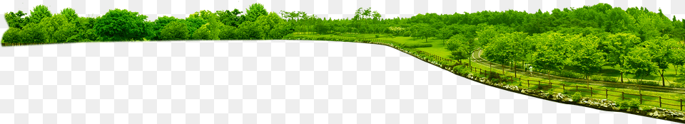 Park Transparent Image, Plant, Scenery, Outdoors, Tree Free Png