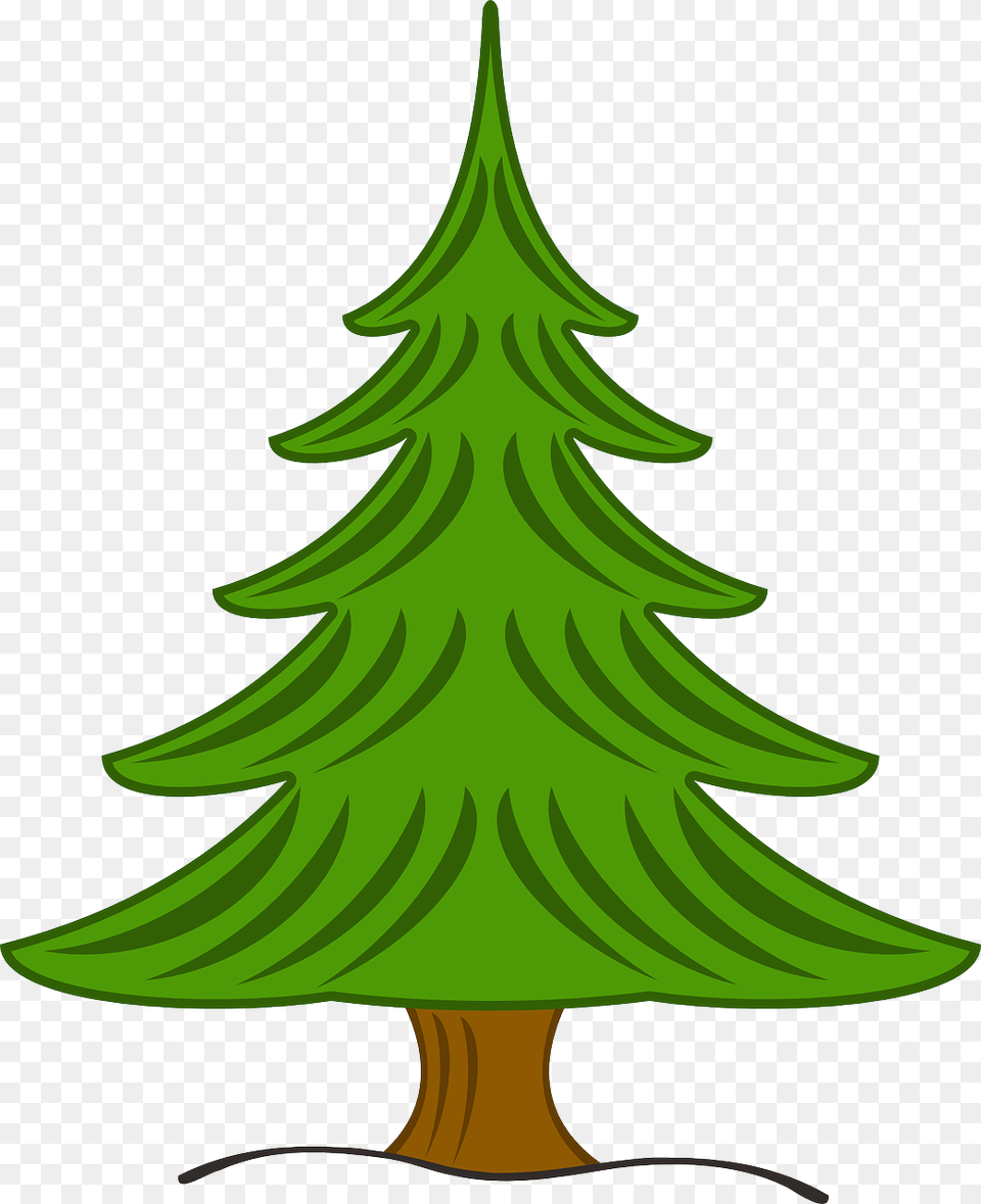 Park Tree Forest Nature Landscape Park, Plant, Pine, Fir, Christmas Png Image