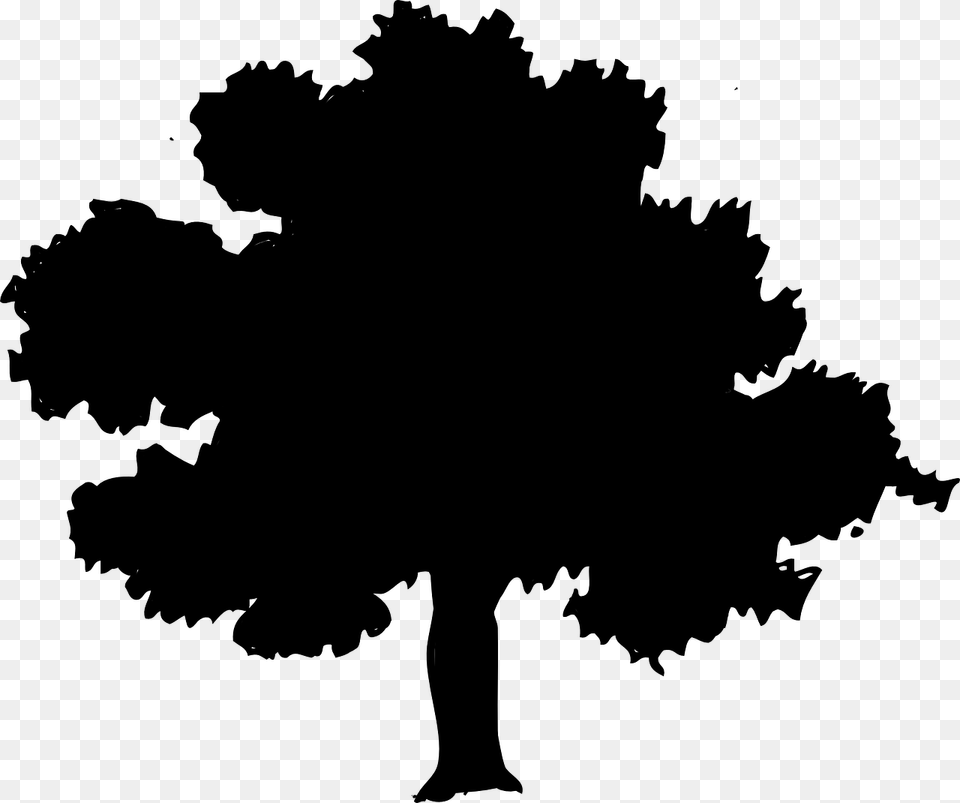 Park Tree Silhouette Forest Oak Elm, Gray Free Transparent Png