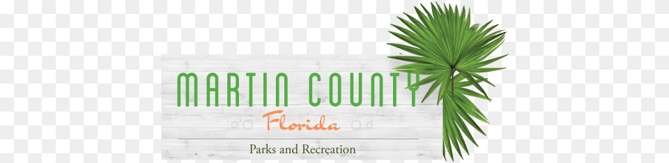 Parks And Rec Palm Logo Trans Horizontal, Plant, Tree, Agavaceae, Leaf Free Png Download