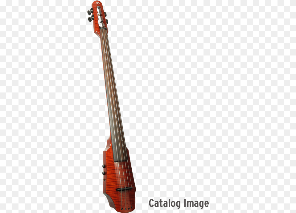 Parlament De Catalunya 2010, Bass Guitar, Guitar, Musical Instrument, Violin Png