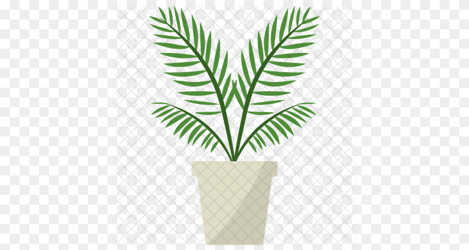 Parlor Palm Plant Icon Houseplant, Potted Plant, Leaf, Fern, Tree Free Png Download