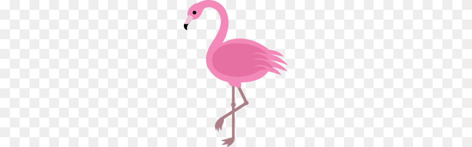 Parma Ohio, Animal, Bird, Flamingo, Cross Free Transparent Png
