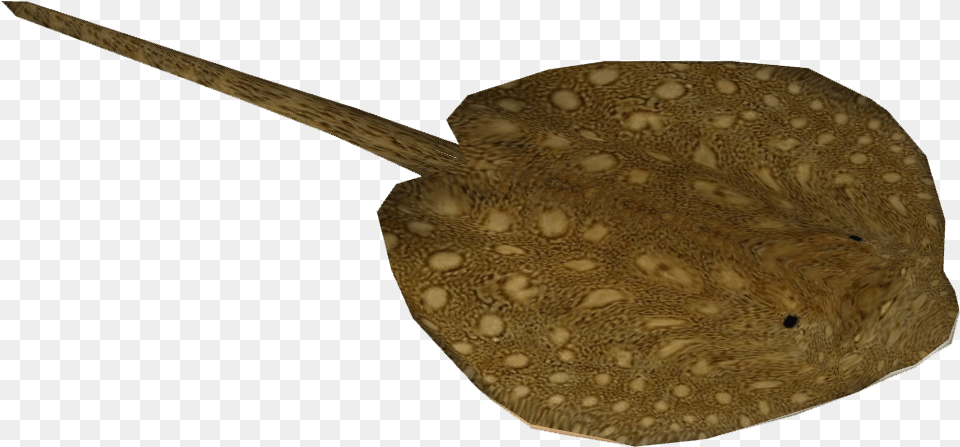 Parnaiba River Stingray Stingray, Animal, Fish, Sea Life, Blade Png