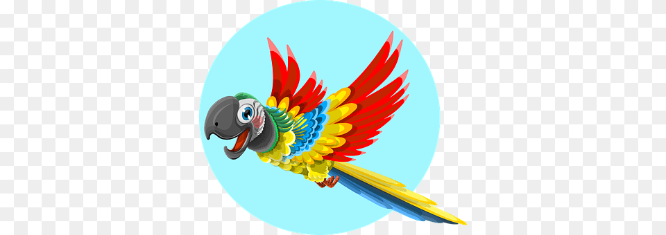 Parrot Animal, Bird Free Png