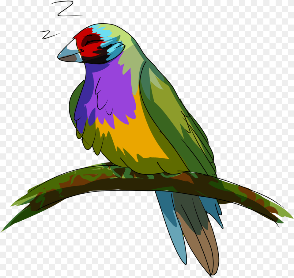 Parrot, Animal, Beak, Bird, Finch Png Image