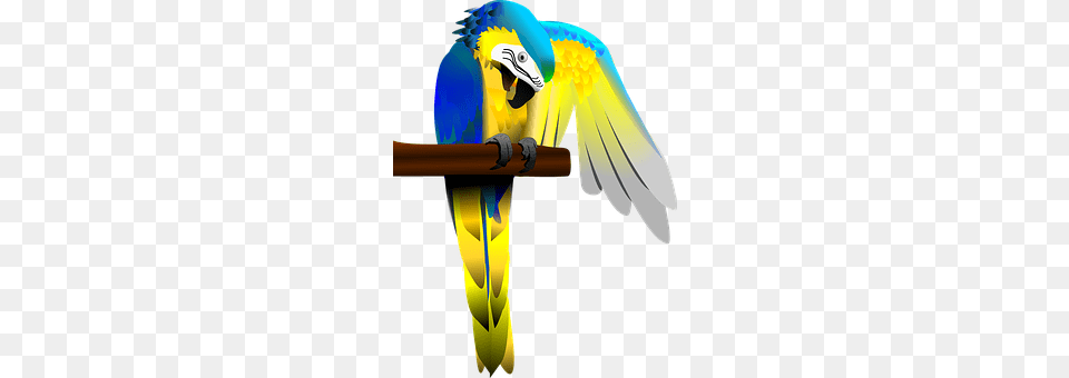 Parrot Animal, Bird, Macaw Png