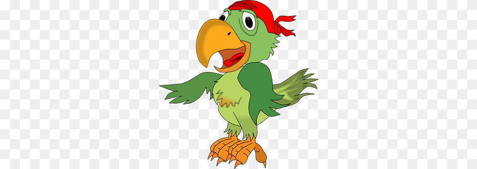 Parrot Animal, Beak, Bird, Baby Free Png