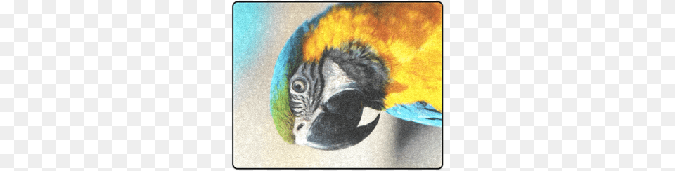 Parrot 2015 0205 Blanket Parrot 2015 0205 Canvas Print Small By Jamfoto, Animal, Beak, Bird, Macaw Free Transparent Png