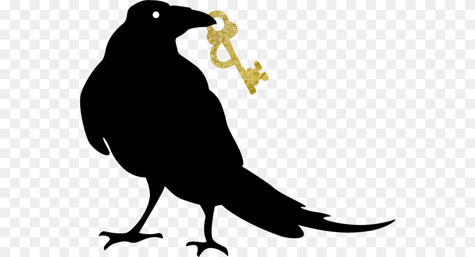 Parrot, Animal, Bird, Blackbird, Silhouette Png Image