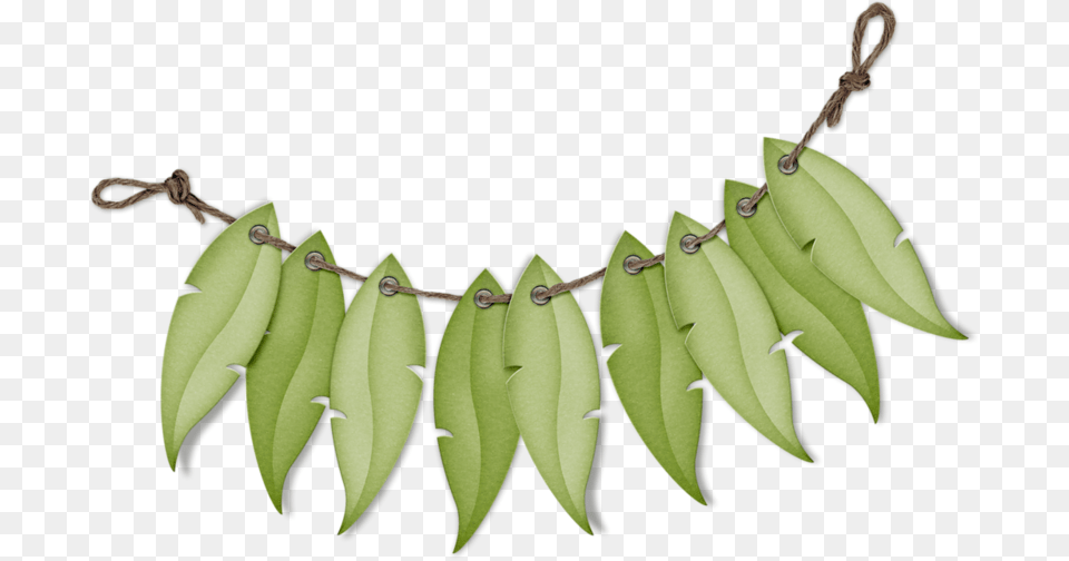 Parrot, Leaf, Plant, Accessories, Tree Free Transparent Png