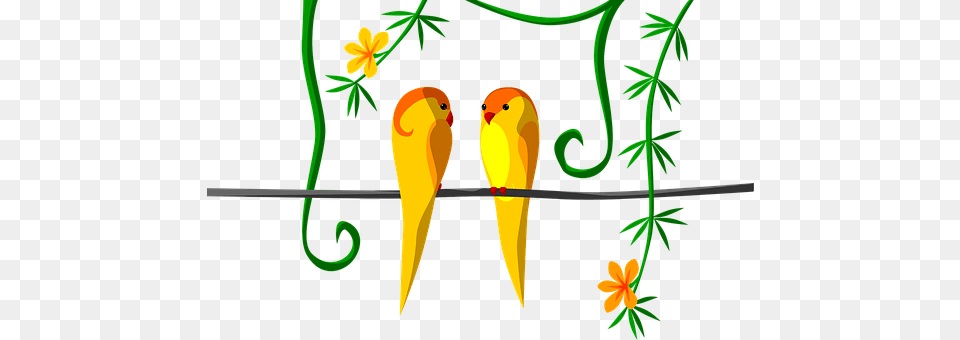 Parrot Animal, Beak, Bird, Art Free Png