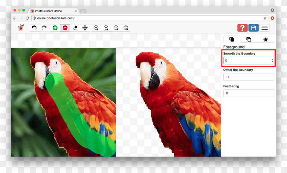 Parrot, Animal, Beak, Bird, Macaw Png