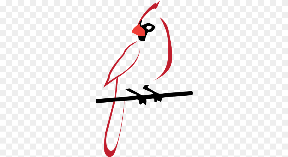 Parrot, Animal, Bird, Cardinal, Beak Png Image