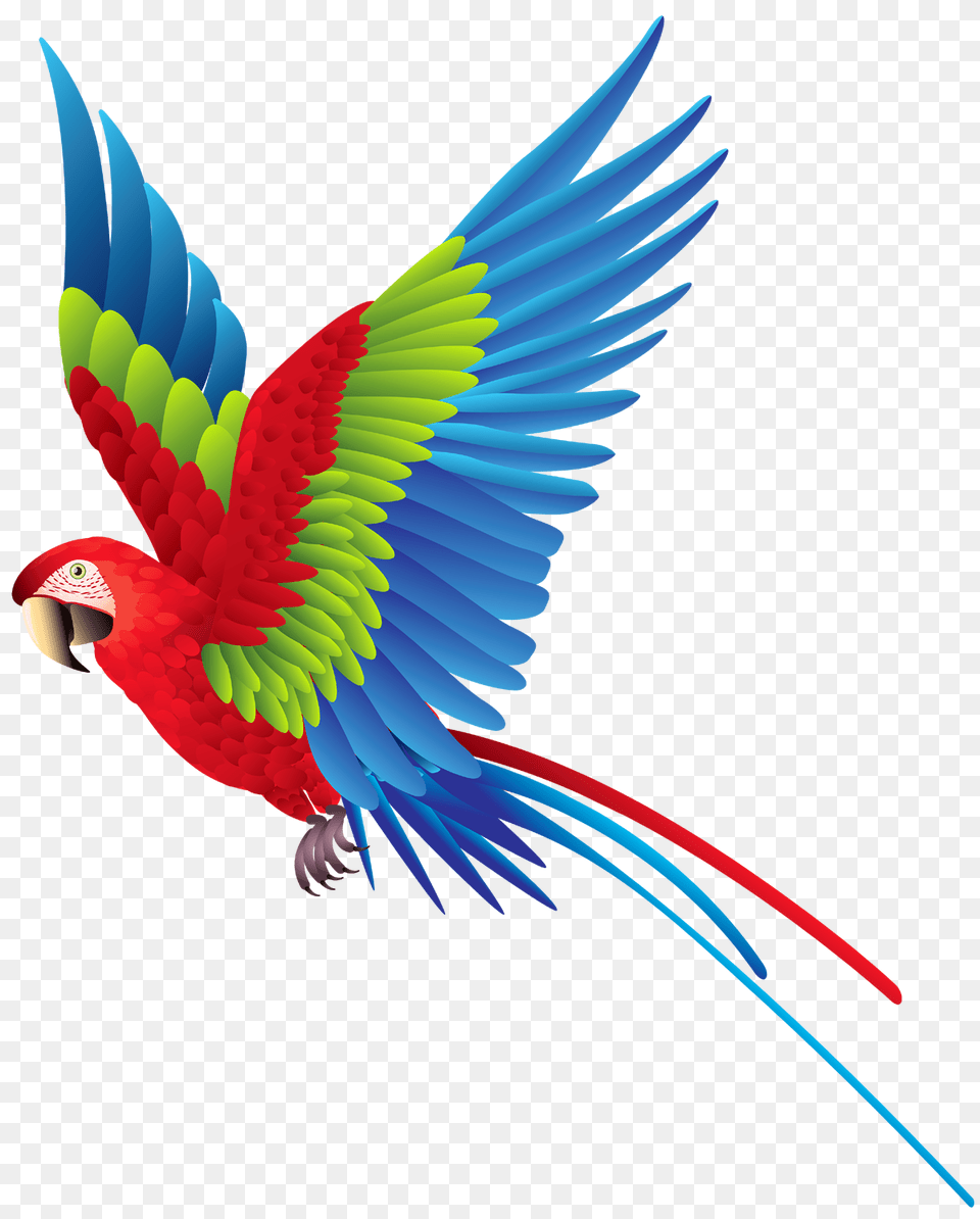 Parrot, Animal, Bird, Macaw, Fish Png Image