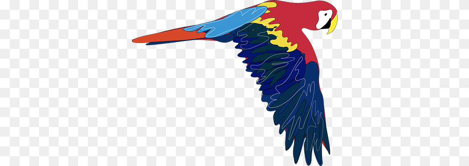 Parrot Animal, Bird, Macaw Png Image