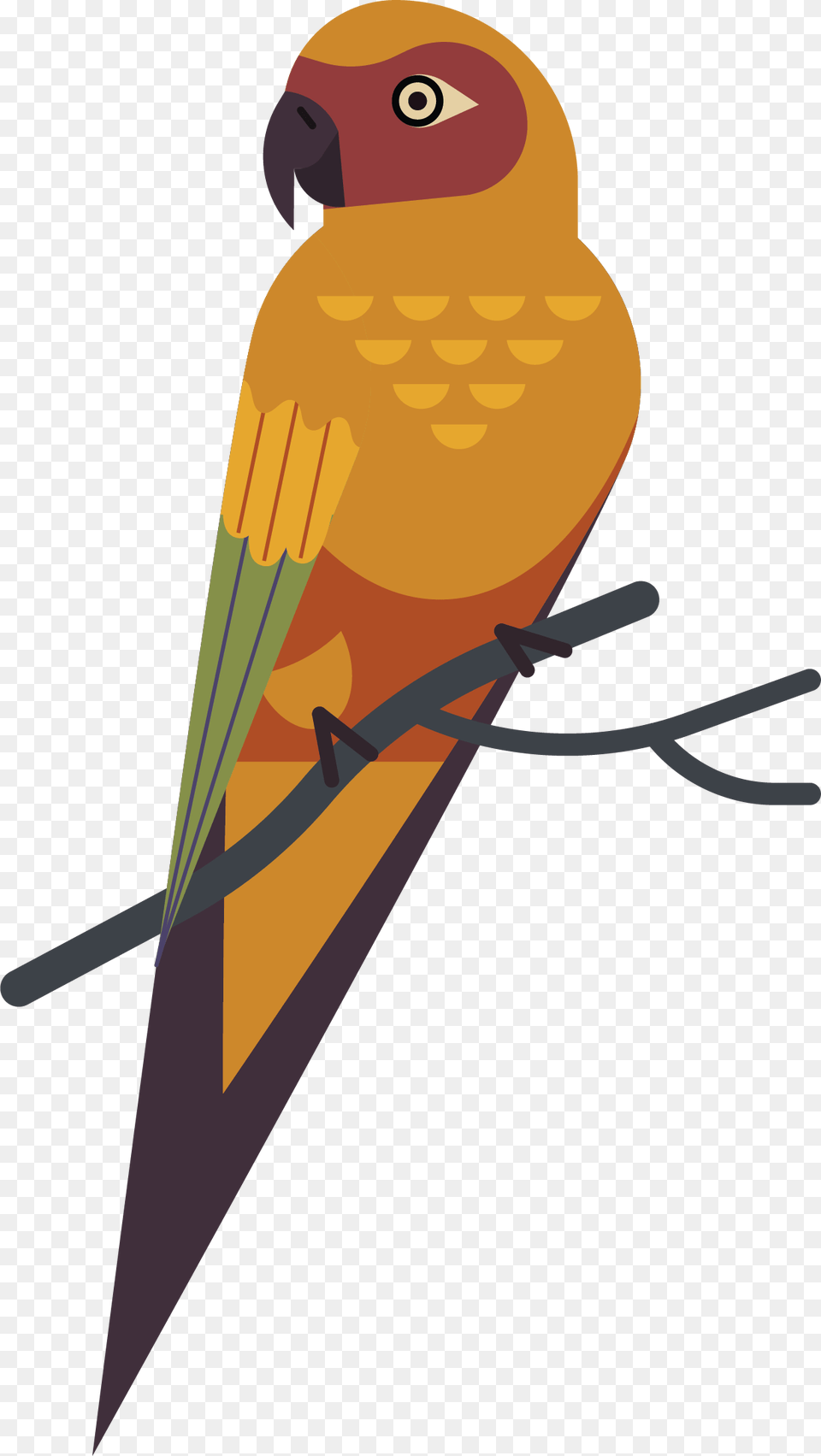 Parrot, Animal, Bird, Person, Parakeet Free Png