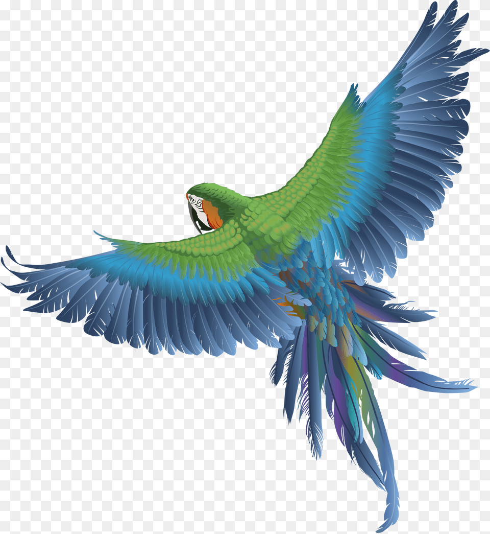 Parrot, Transportation, Vehicle, Machine, Wheel Png Image