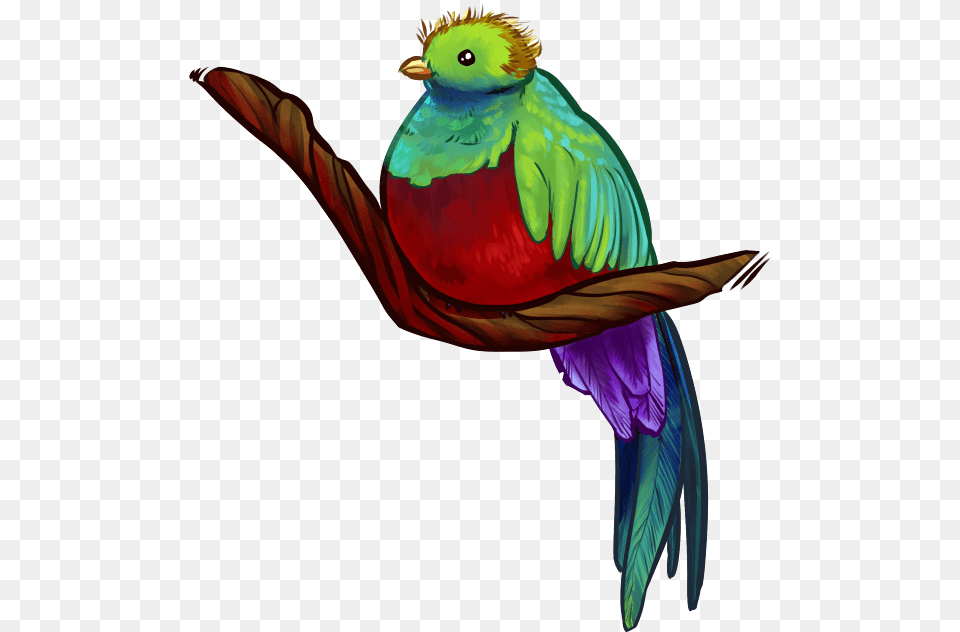 Parrot, Animal, Beak, Bird, Parakeet Png Image