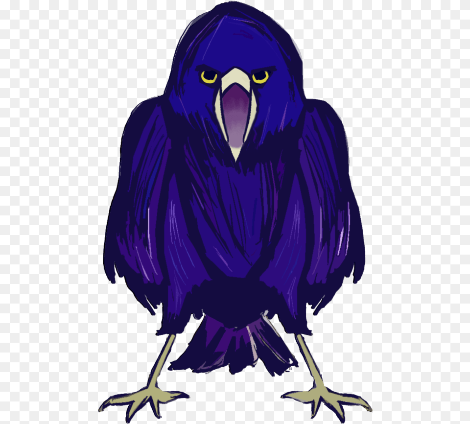 Parrot, Animal, Beak, Bird, Blackbird Png Image