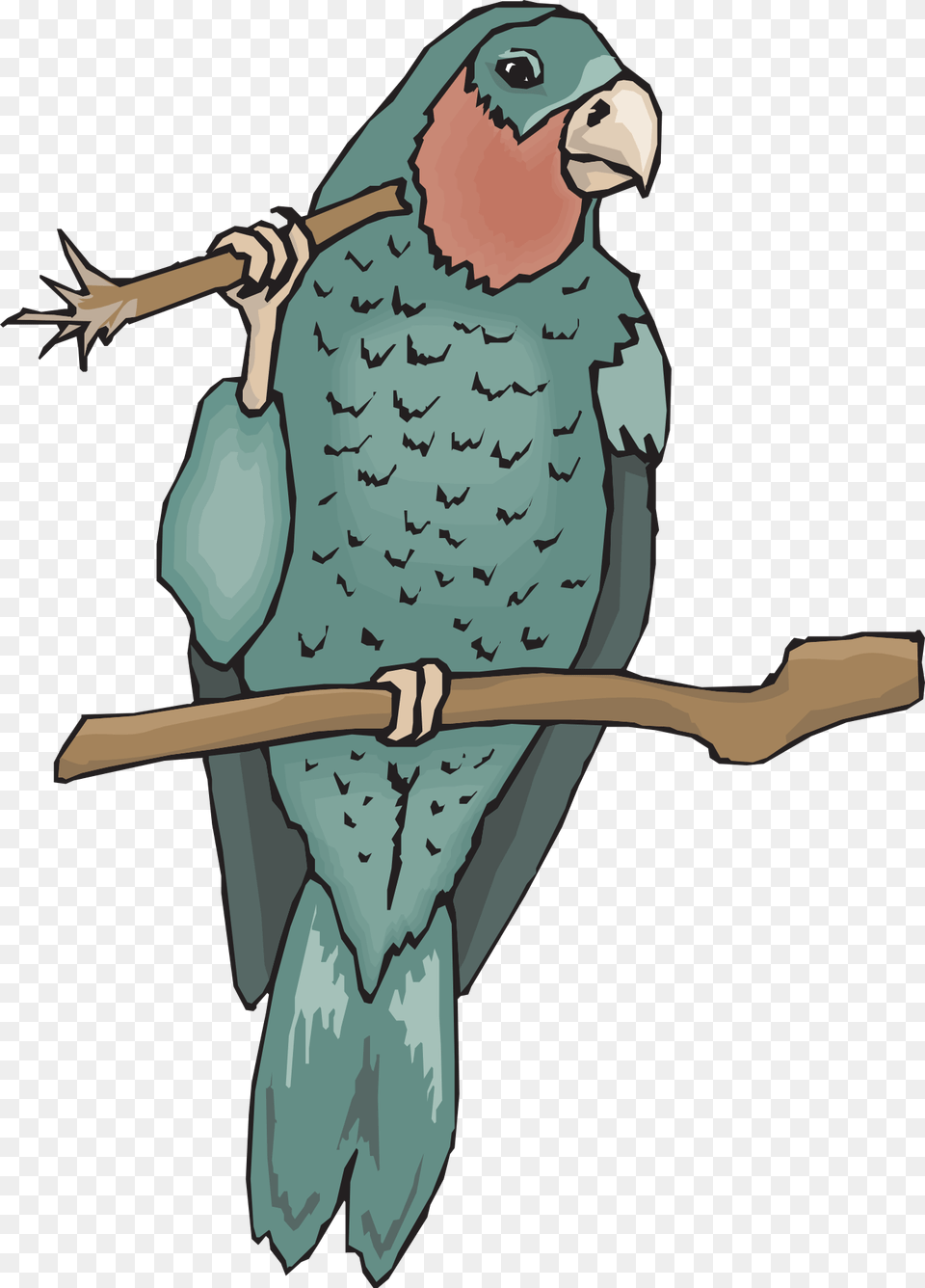 Parrot, Animal, Beak, Bird, Person Free Png