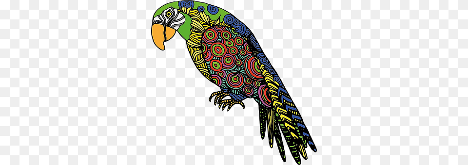 Parrot Animal, Bird Free Png Download