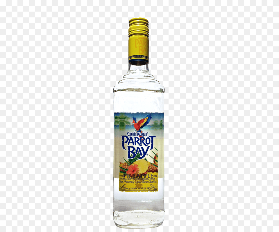 Parrot Bay, Alcohol, Beverage, Liquor, Animal Png