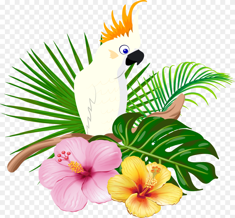 Parrot Bird Floral Design Hawaiian Bird Clipart, Flower, Plant, Animal, Cockatoo Free Png