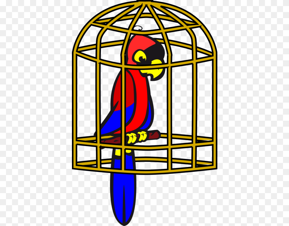 Parrot Birdcage Pet, Person, Outdoors Free Png