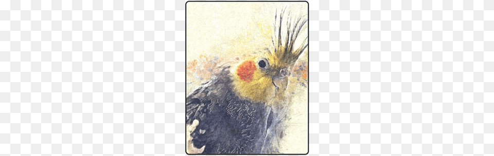 Parrot Blanket 40quotx50quot Cockatiel Watercolor, Art, Painting, Animal, Beak Free Png Download