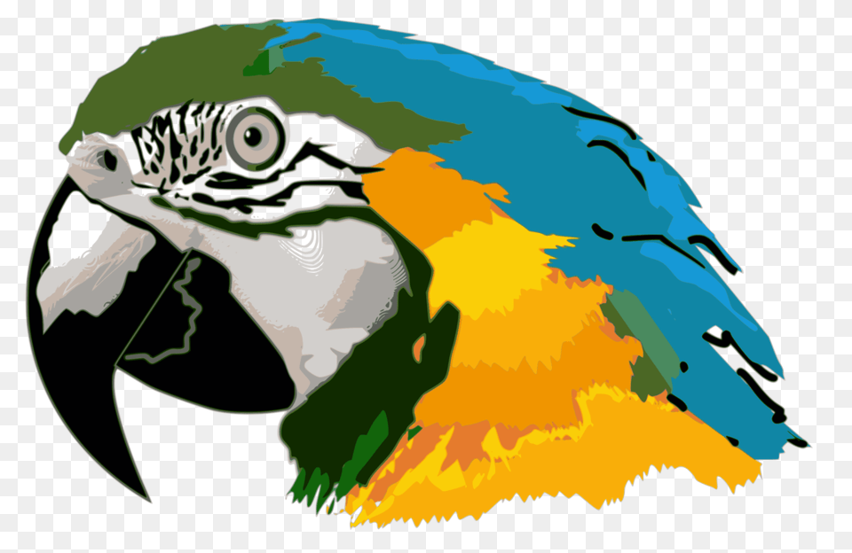 Parrot Blue And Yellow Macaw Bird Budgerigar, Animal, Beak, Fish, Sea Life Png Image