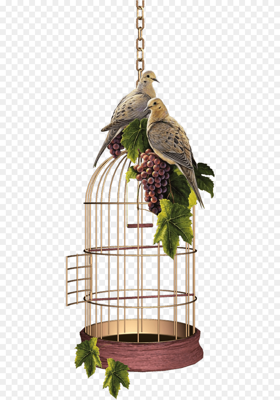 Parrot Cage Gif Birdcage, Animal, Bird Png Image