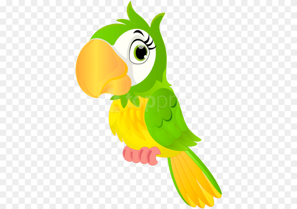 Parrot Cartoon Clipart Photo Cute Parrot Cartoon, Animal, Beak, Bird Free Transparent Png