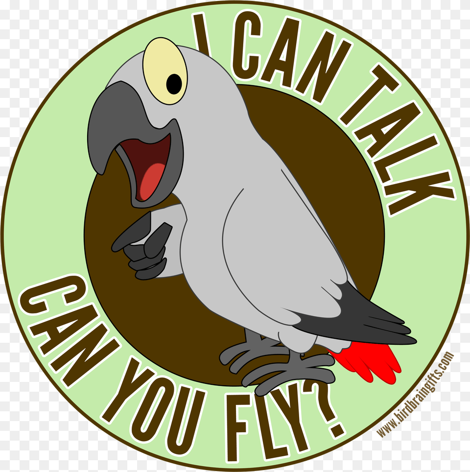 Parrot Cartoon Cute Birds Identity And Access Management, Animal, Beak, Bird, Logo Png