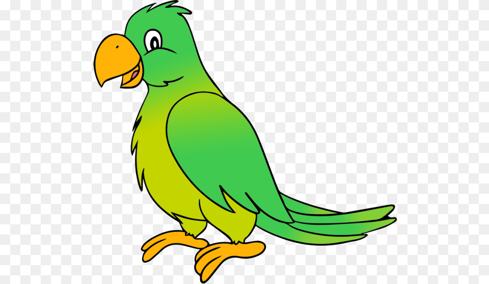 Parrot Clip Art, Animal, Beak, Bird, Parakeet Png