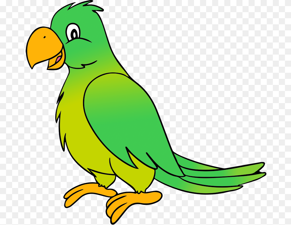 Parrot Clip Art, Animal, Beak, Bird, Parakeet Free Transparent Png