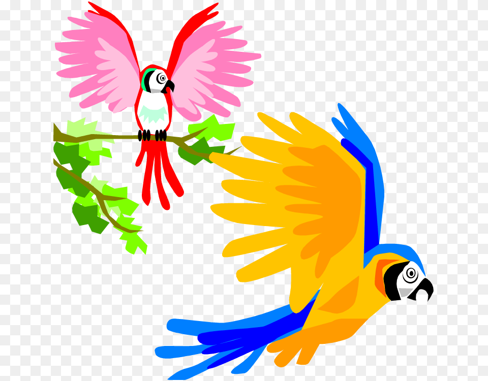 Parrot Clip Art Cartoon, Animal, Bird, Macaw, Baby Free Png
