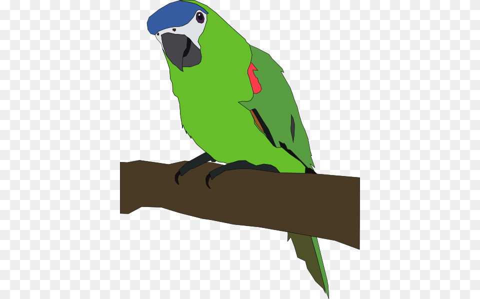Parrot Clip Art For Web, Animal, Bird, Parakeet, Fish Free Transparent Png
