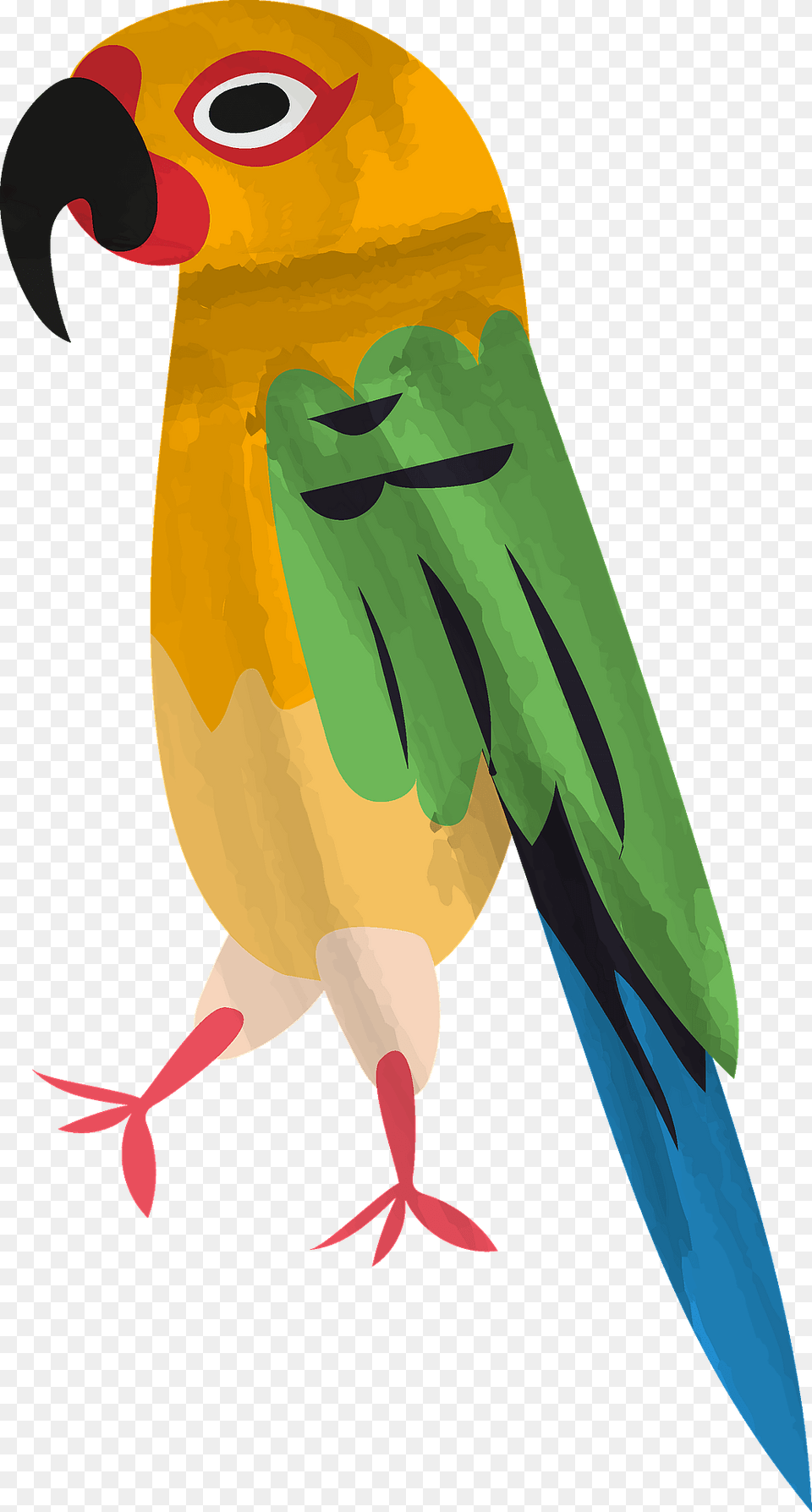 Parrot Clipart, Animal, Beak, Bird, Fish Png Image