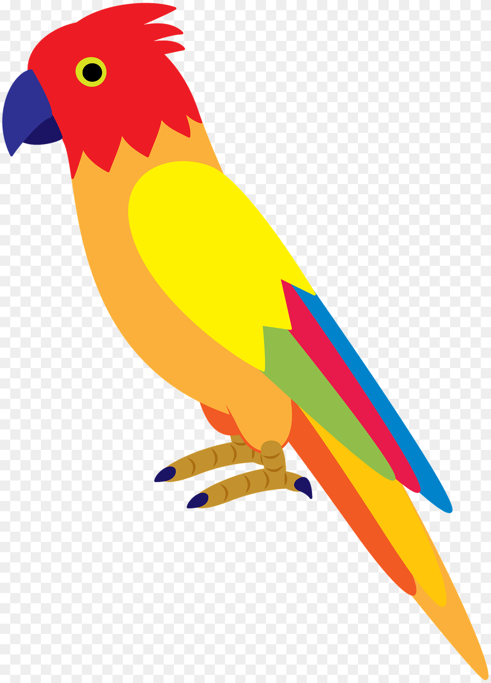 Parrot Clipart, Animal, Beak, Bird, Fish Free Png Download