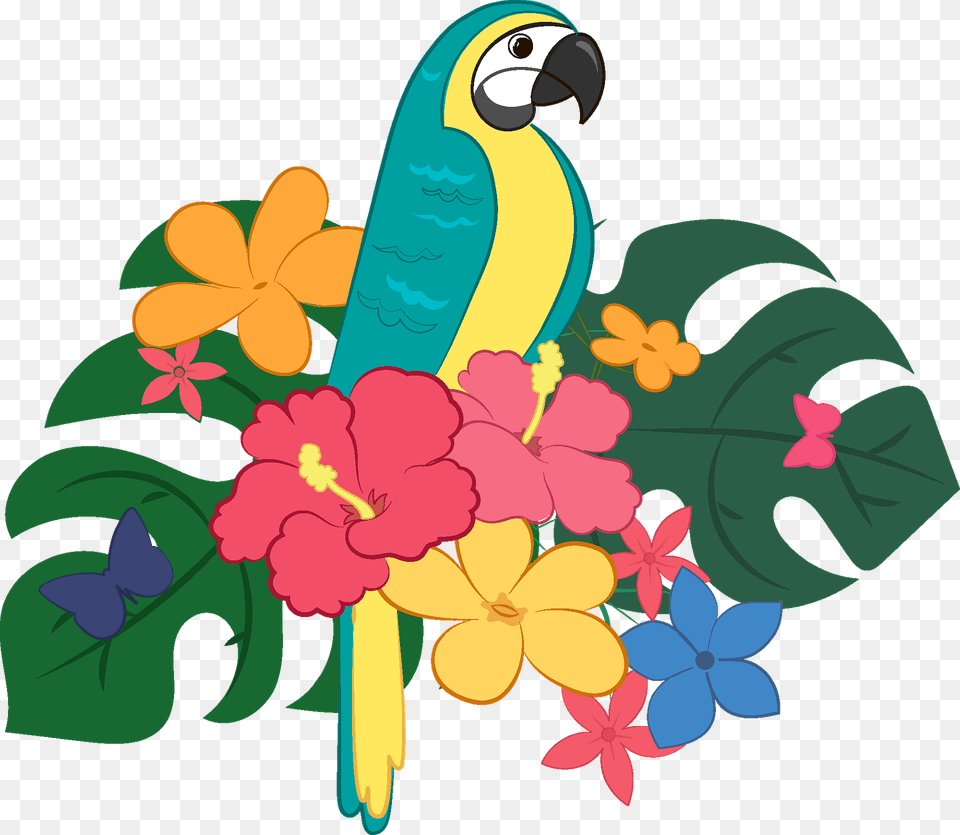 Parrot Clipart, Art, Graphics, Floral Design, Pattern Free Png