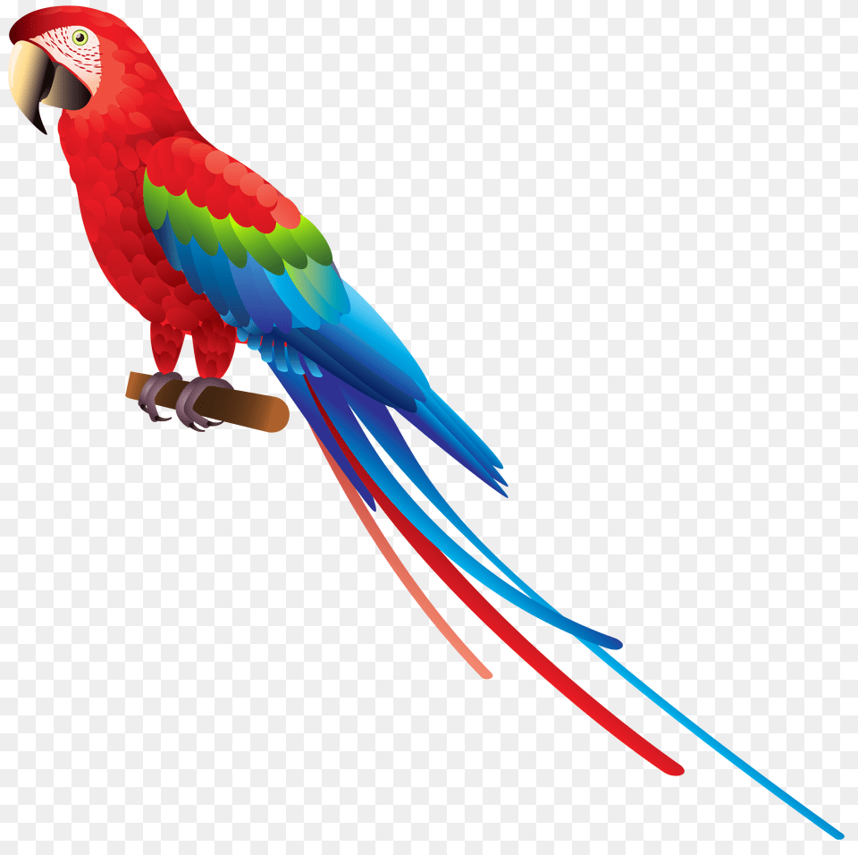 Parrot Clipart, Animal, Bird, Macaw Png Image